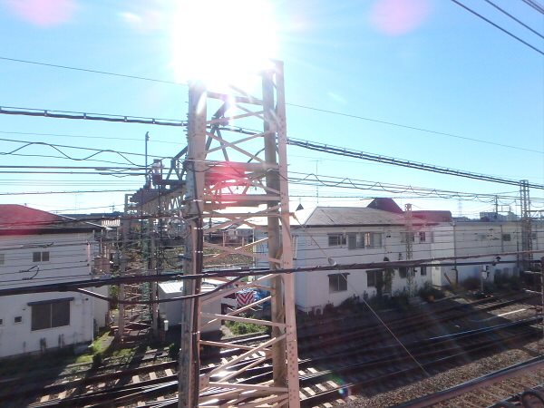 ロイヤルハワイアン その他8