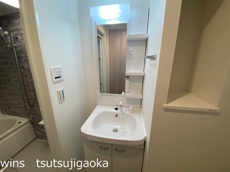 LUMINOUSつつじヶ丘（Dタイプ） 洗面所