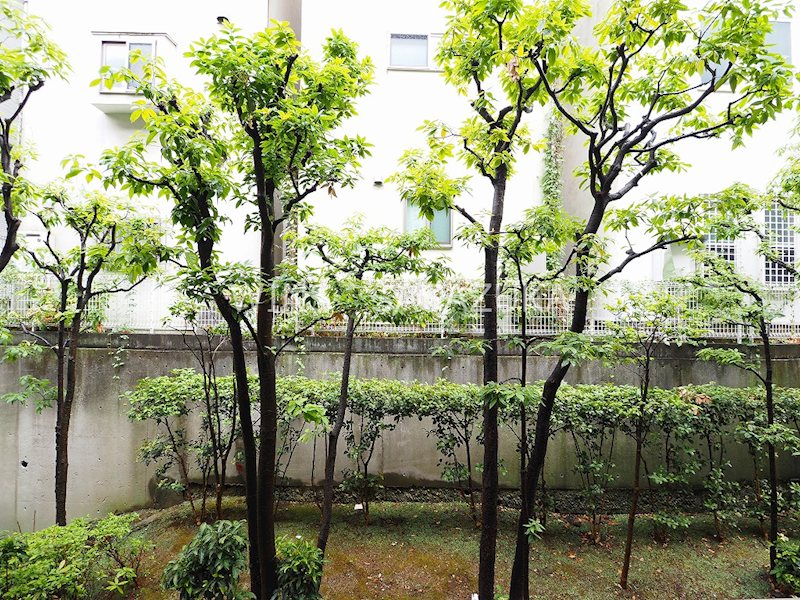 参宮橋マンション その他4