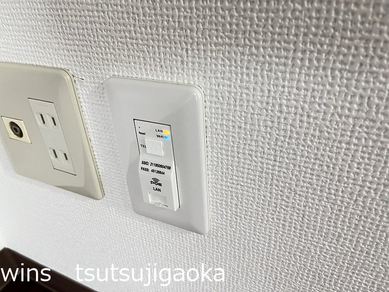 ゴコウエテルナーレ その他5