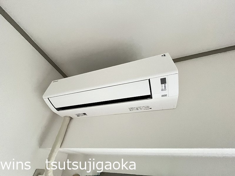 ゴコウエテルナーレ その他13