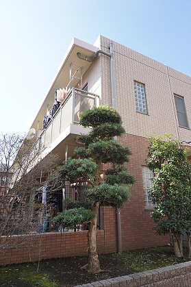 その他7