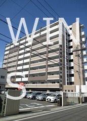 その他11