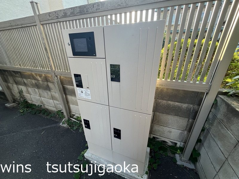 レグルス その他