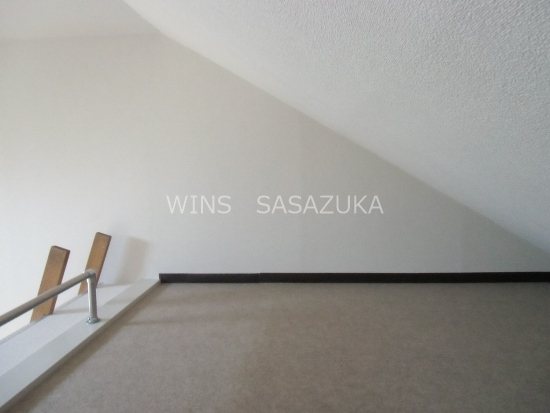 フラットハナタキ その他4