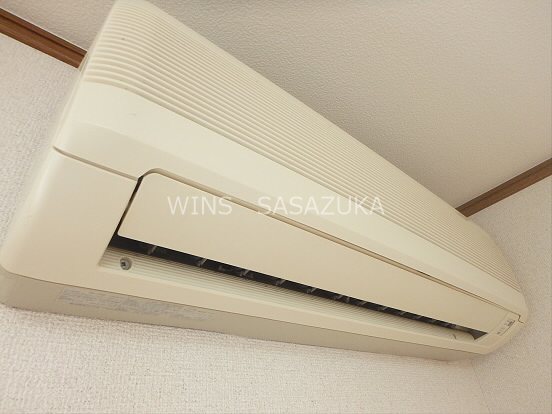 ステラ その他4