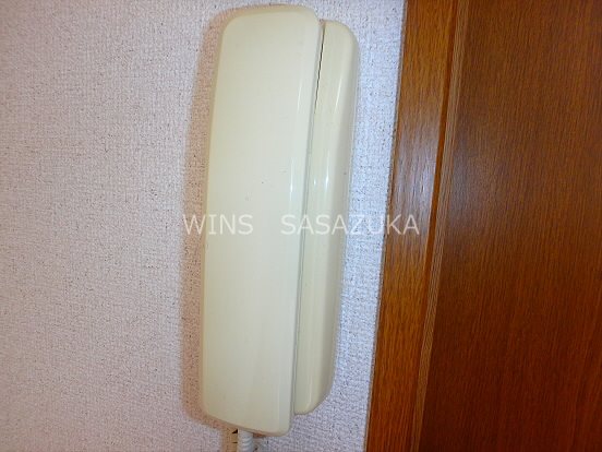 ステラ その他5