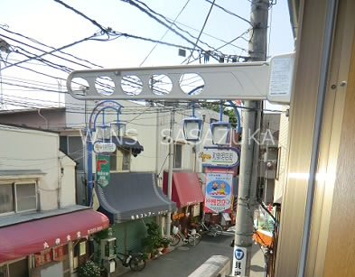 ステラ その他6