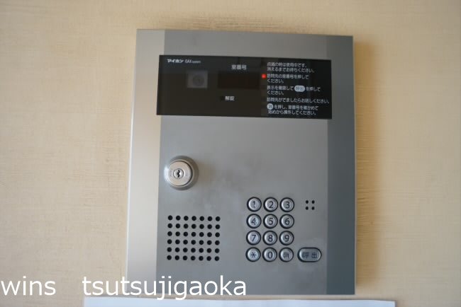 アンプルールフェールKOKI その他