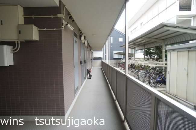 アンプルールフェールKOKI その他