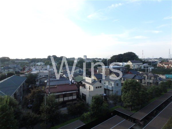 その他12