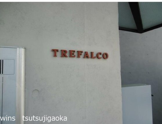 ＴＲＥＦＡＬＣＯ(トレファルコ) その他3