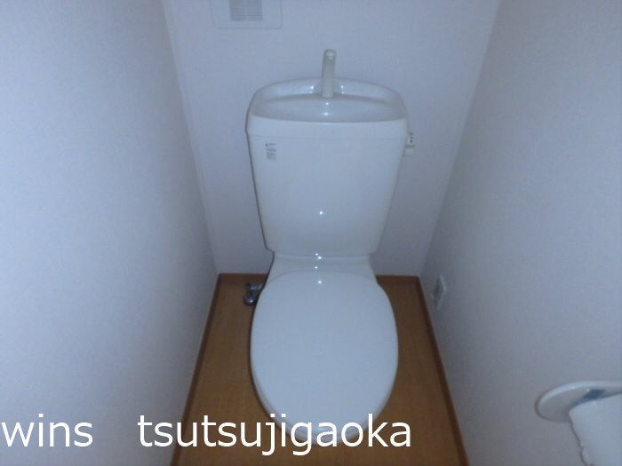 パナソフィア その他2
