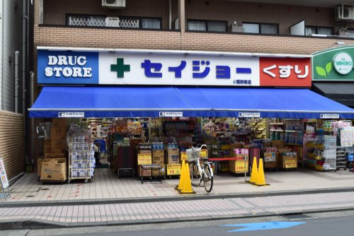 神奈川県川崎市多摩区菅１丁目 ドラッグストア