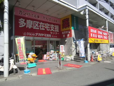 神奈川県川崎市多摩区宿河原２丁目 ドラッグストア