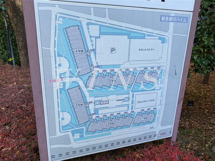 神奈川県川崎市多摩区中野島６丁目 その他