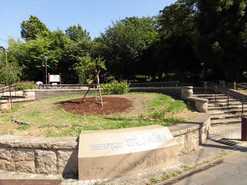 アムパルク羽根木 公園