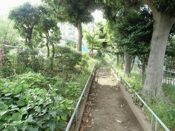 TAS上北沢レジデンス 公園