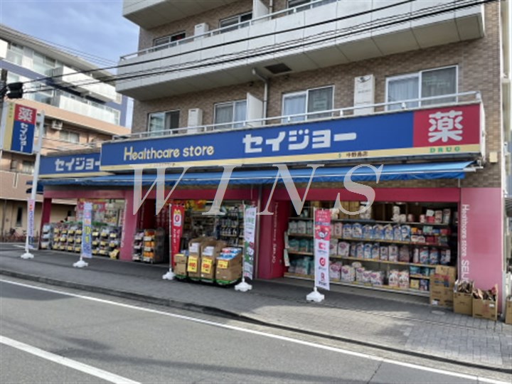 神奈川県川崎市多摩区中野島１丁目 ドラッグストア