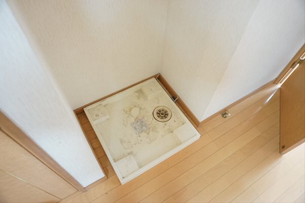 パレスのばら その他