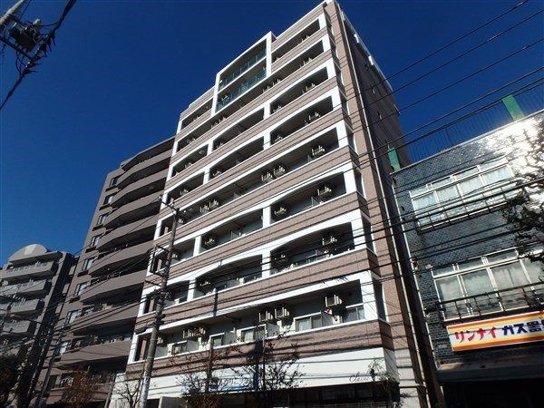 カンパニュラ 外観