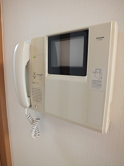 ラコリッタカラスヤマ セキュリティ