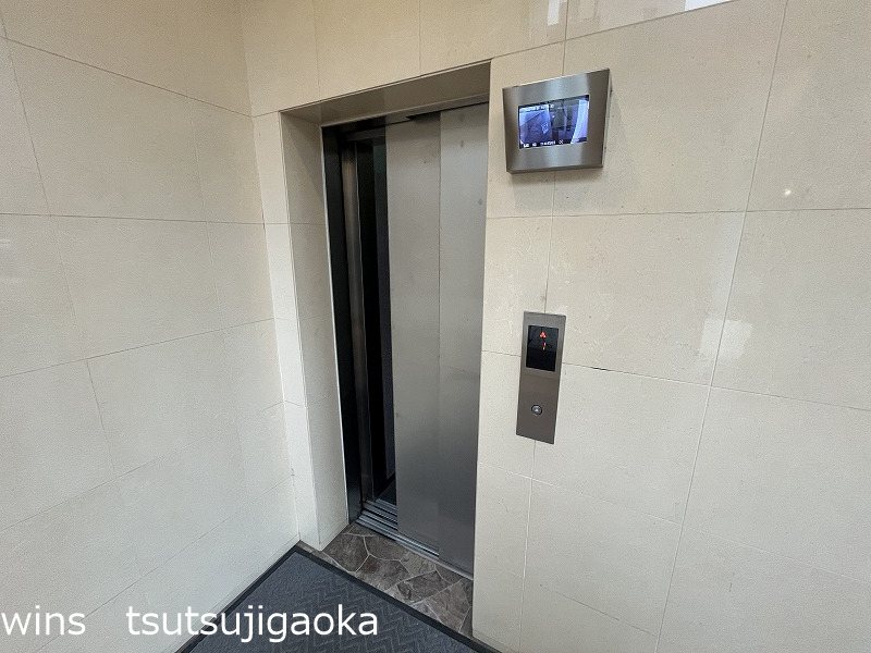ルピナス その他
