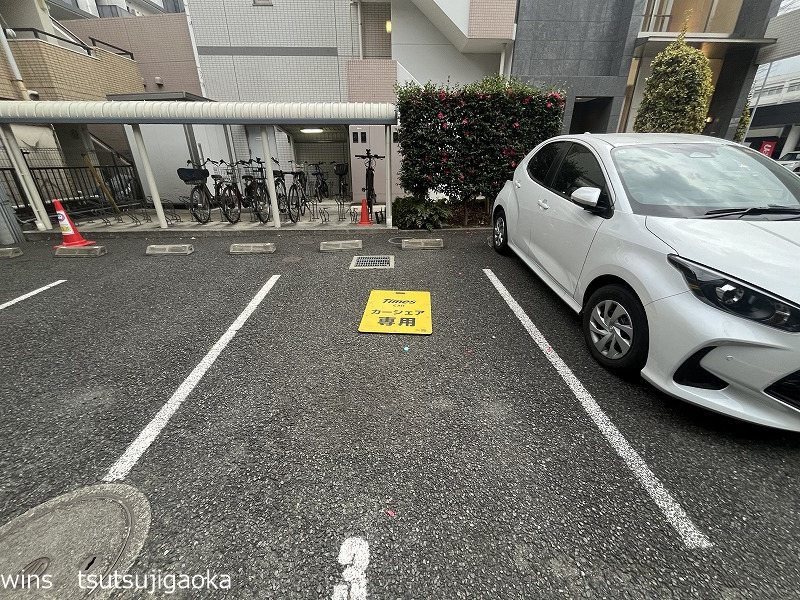 ルピナス その他