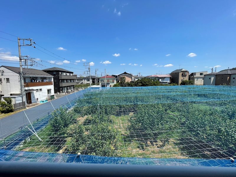 神奈川県川崎市多摩区菅北浦２丁目 眺望