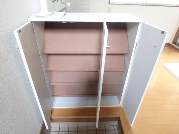 スカイパレスM1 玄関