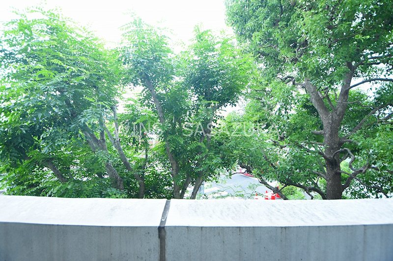 東京都世田谷区北沢５丁目 眺望