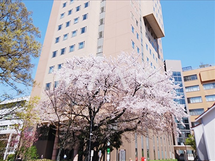 神奈川県川崎市多摩区西生田２丁目 大学・短大