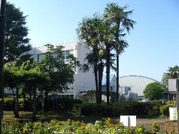 東京都狛江市東和泉１丁目 小学校