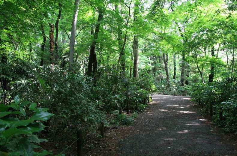 エスアイハイム 公園
