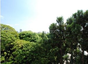 エスティメゾン白金台 その他