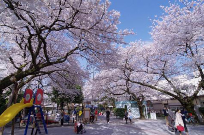 アトラス白金台レジデンス 公園