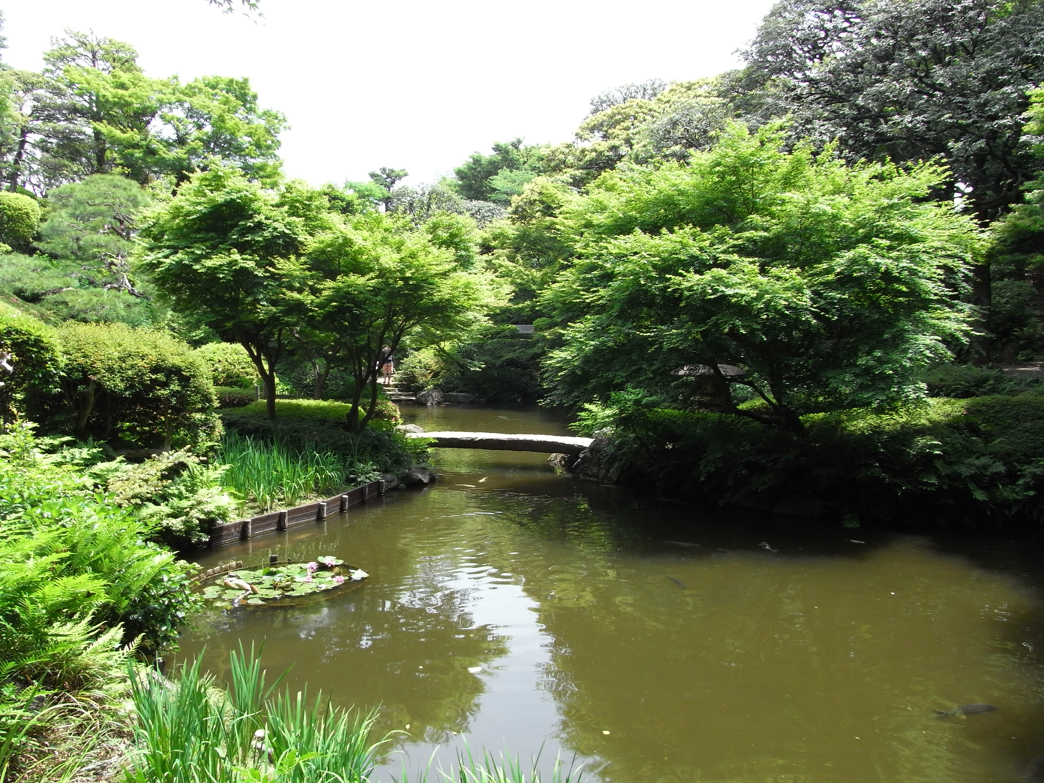 パークハウス池田山公園白金台の杜 公園