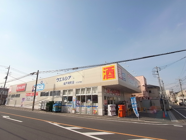 ステラ・ヒロ ドラッグストア