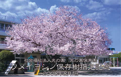 町田ファミール 幼稚園