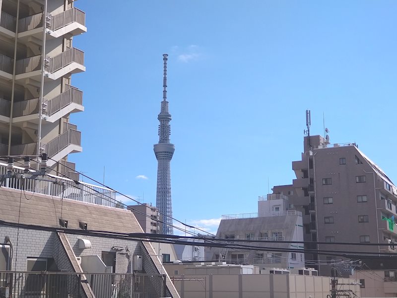 ザ・チェリークレスト 眺望