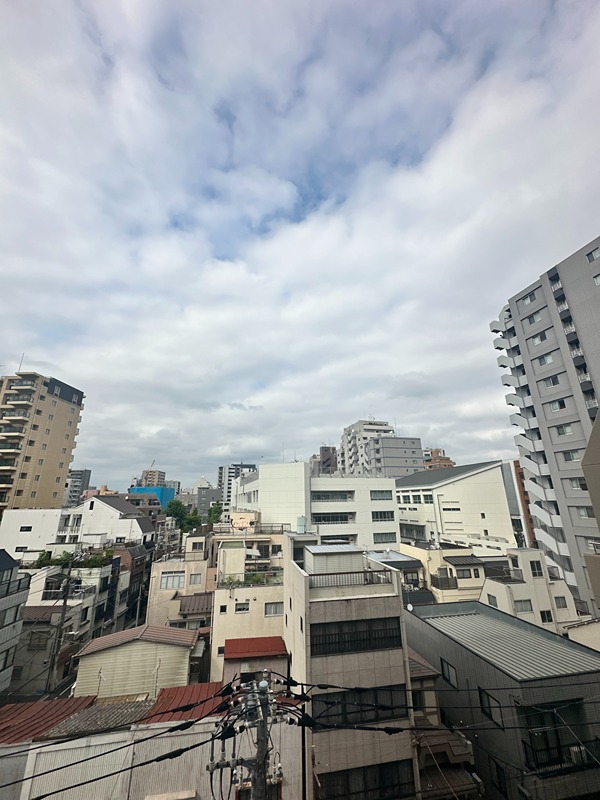 ラティエラ上野入谷 眺望