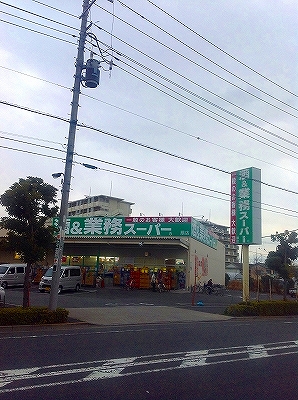レオネクストエスペランサ扇大橋 その他