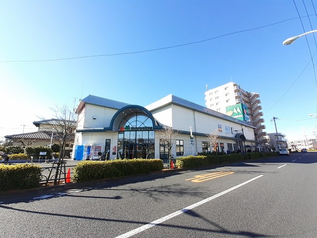 スアヴィス舎人 その他
