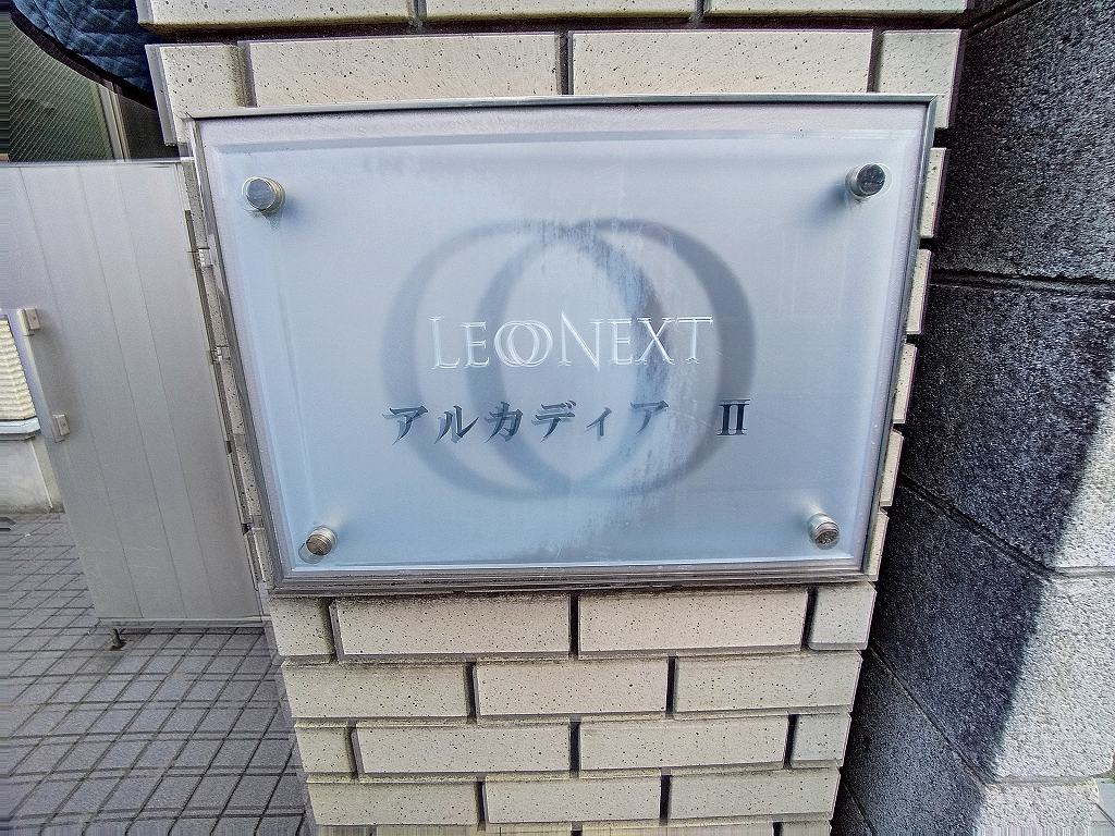 レオネクストアルカディアⅡ その他