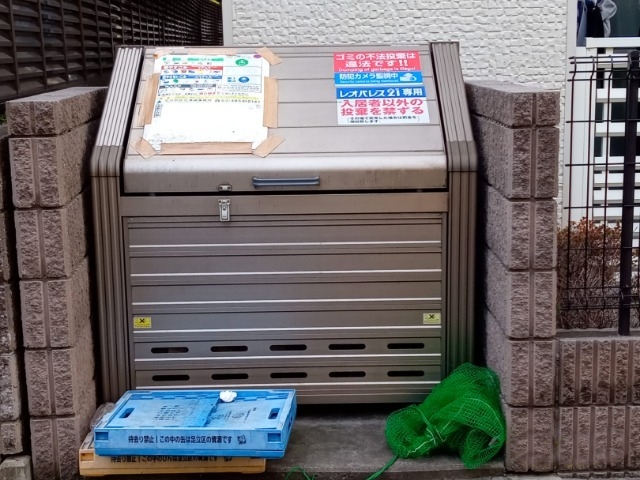レオネクストシードオオタ その他