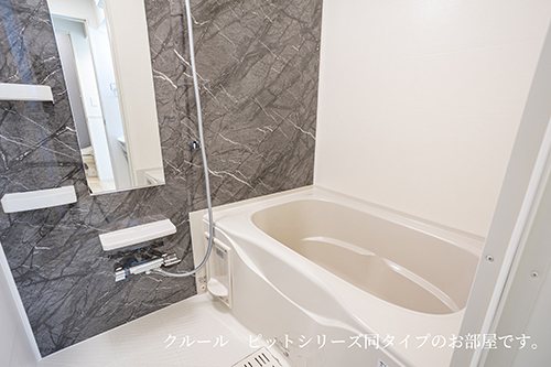 ボヌール・アンジュ 風呂画像