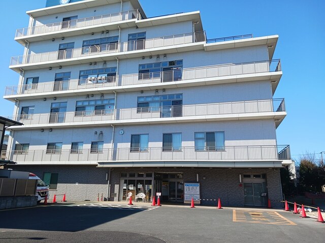 サンダーソニア その他