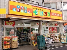 ヴィラージュ柴又 その他