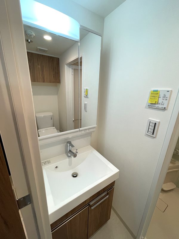 ディアレイシャス横浜吉野町 洗面所