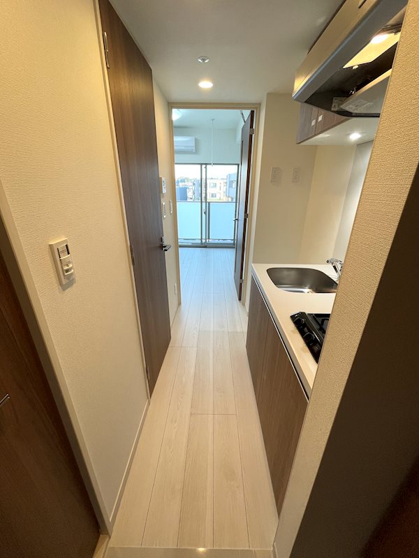 ディアレイシャス横浜吉野町 玄関